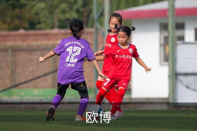 欧博公司简介